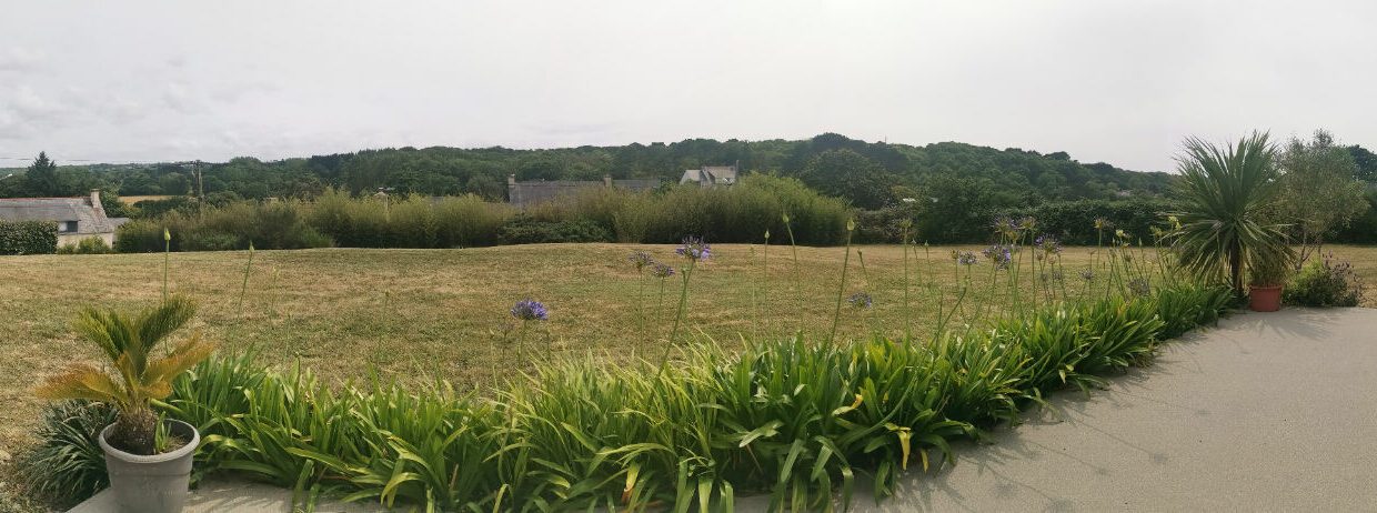 176-25112025-054903-1