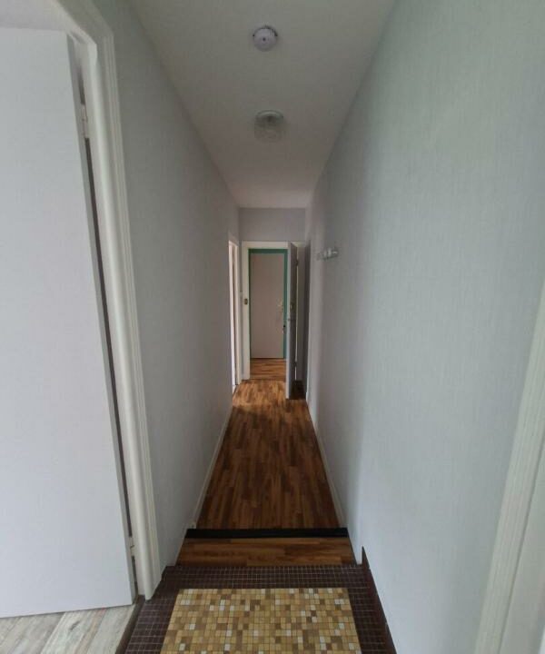 383-04112025-064659-7